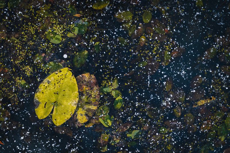 интимный пейзаж, природа, лед, ноябрь vk.com/lerondisphoto preview