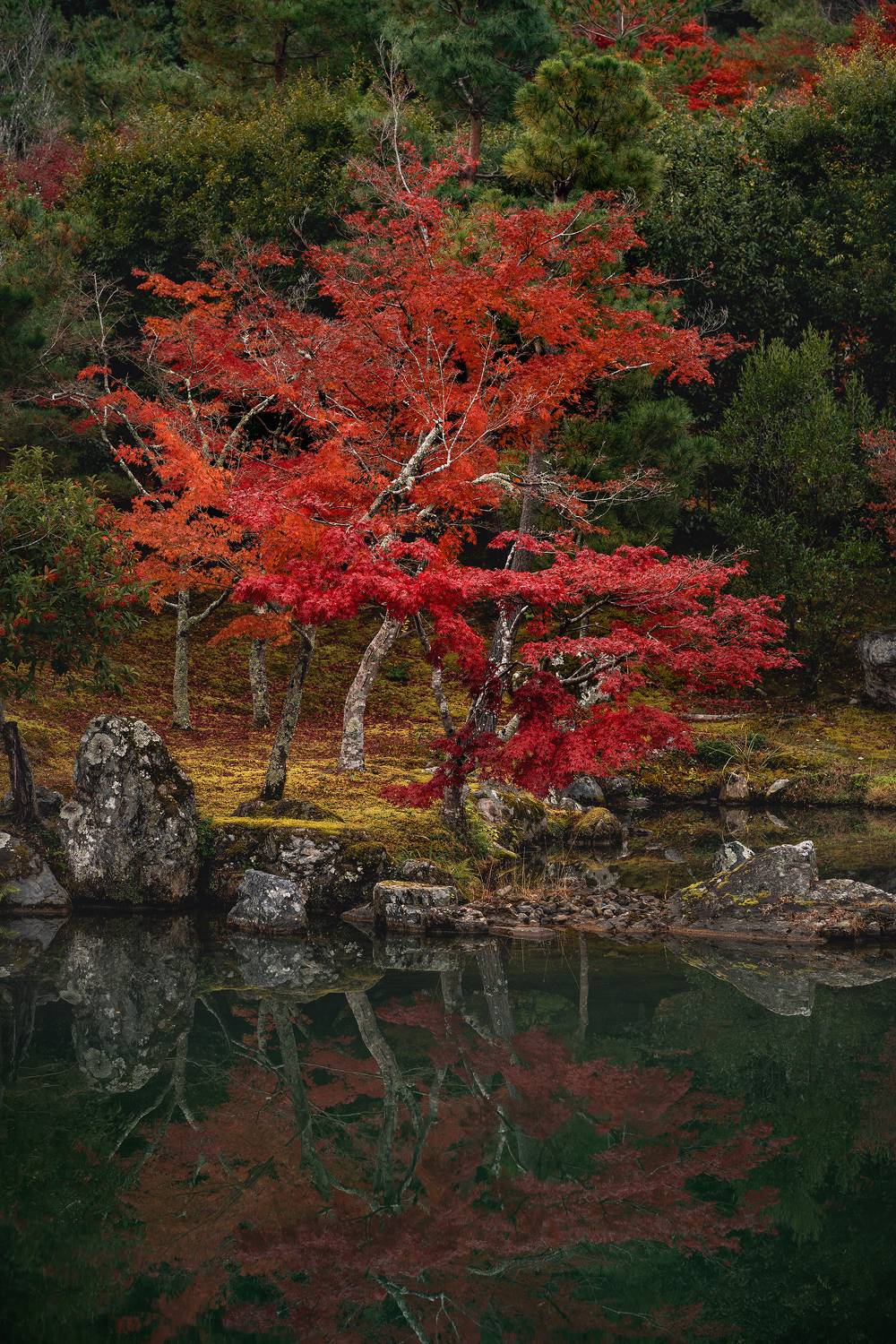 Автор: Козаченко Алексей , Козаченко Алексей