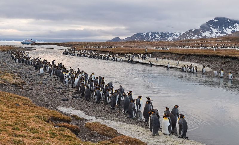 south, georgia На берегу безымянной рекиphoto preview