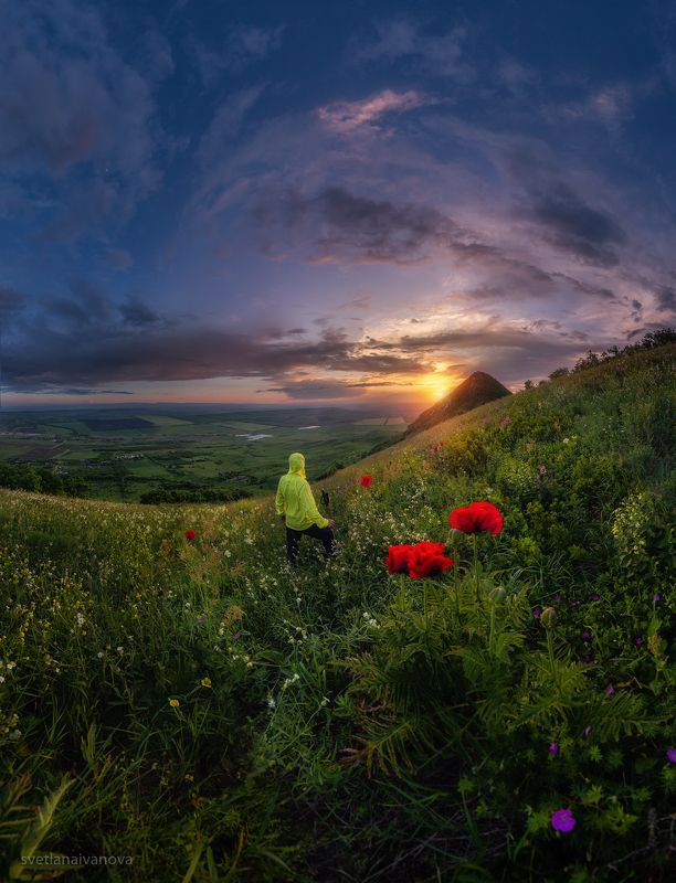 маки, кмв, кавминводы, бештау, верблюд, кавказ, реликтовые маки, закат Красота спасёт МИР...photo preview