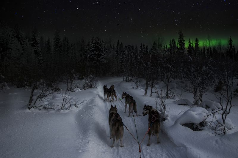 По дороге в сказкуphoto preview