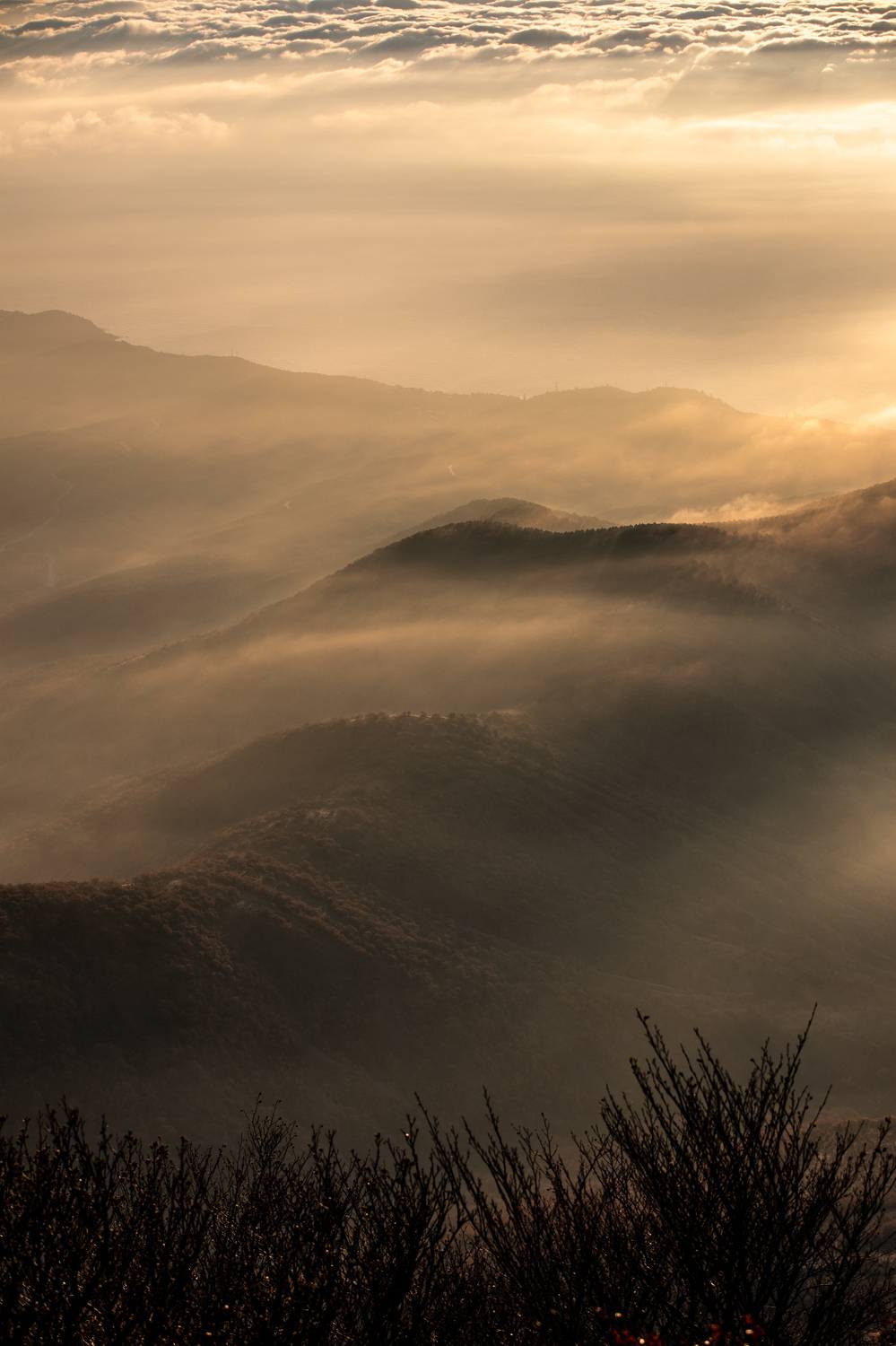 Автор: Павел , Павел