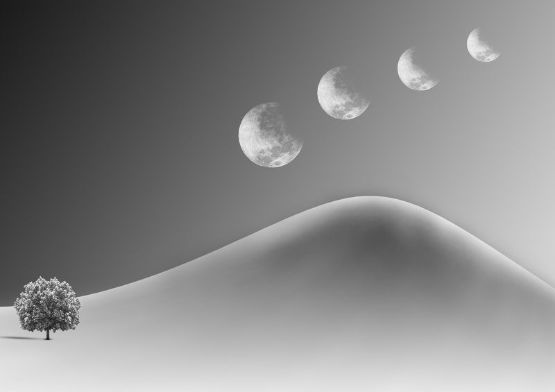 Lunar Eclipsephoto preview