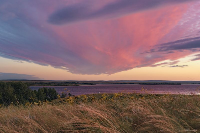 вечер, ириклинское водохранилище, оренбургская область Розовый вечерphoto preview