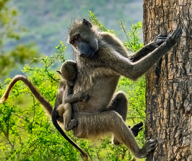 Кажется заснулphoto preview