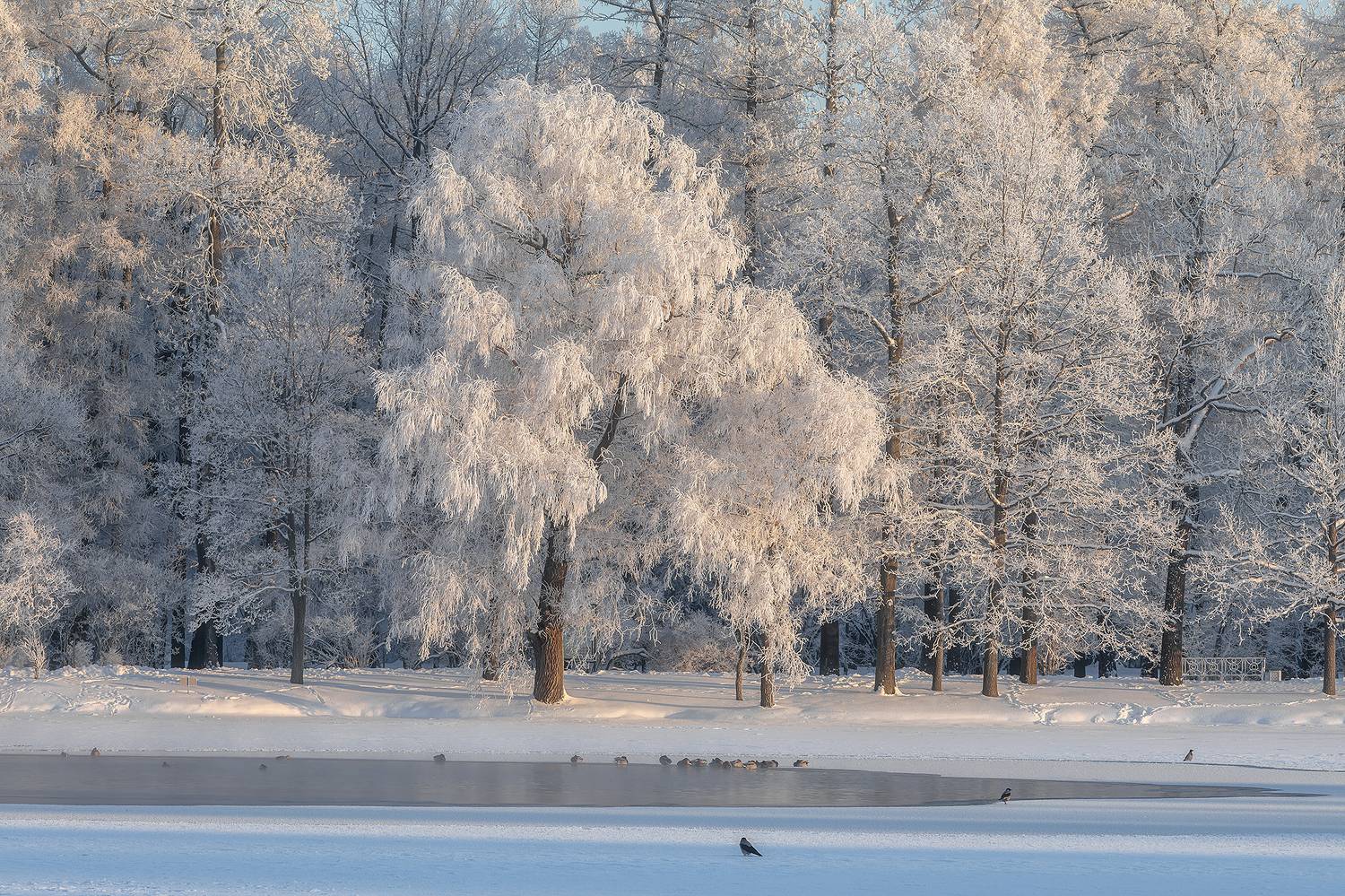 , Александр Пашеничев