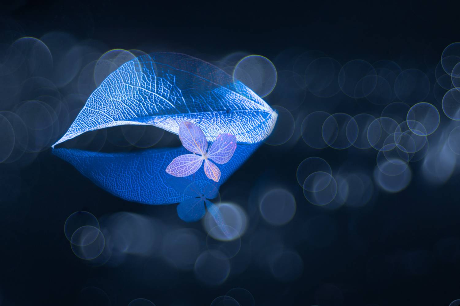 close-up, Игорь Копцев