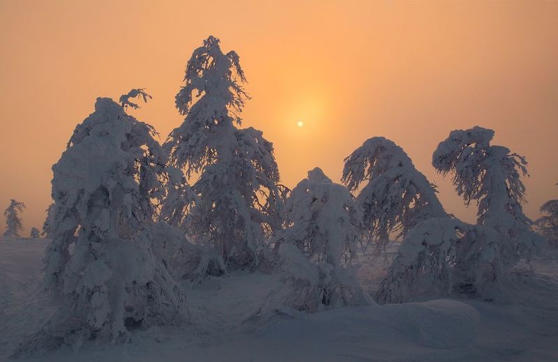 природа, урал, зима На встречу... фото превью