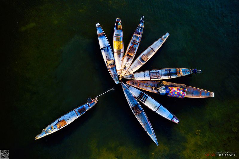 quanphoto, landscape, boats, lagoon, fishing, rural, vietnam Flower Boatsphoto preview