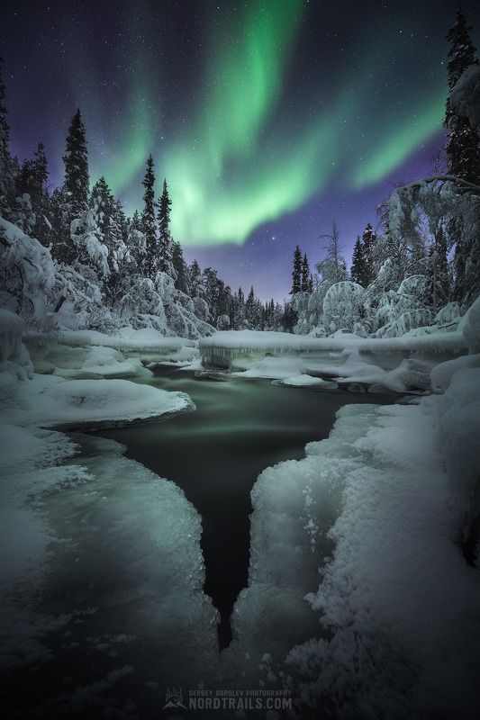 север, мурманск, териберка, хибины, рыбачий, кандалакша, северное сияние, фототур Заполярныя классикаphoto preview