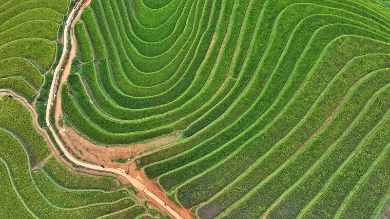 #arial #landscape #terraced # ricefarming #vietnam #MucangChi Nature\'s wavephoto preview
