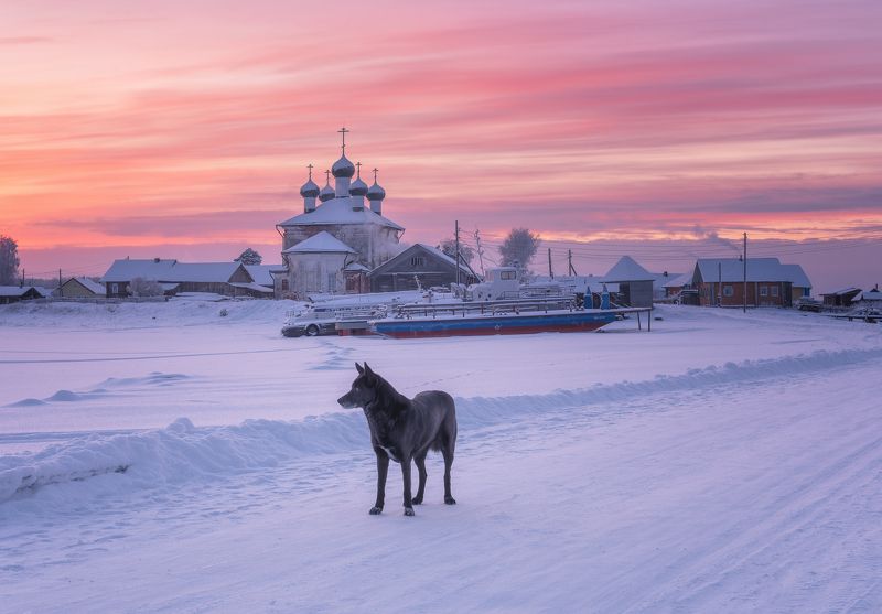 Темный страж Кенозерьяphoto preview