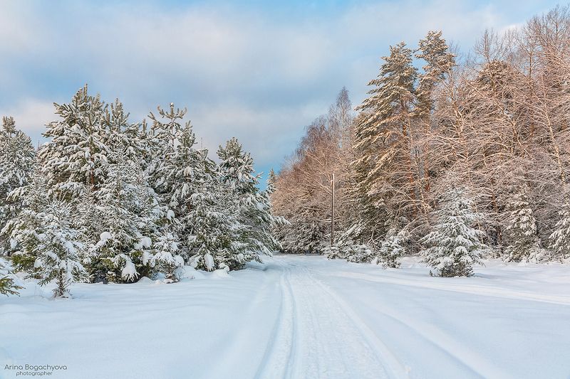 Зима в подмосковьеphoto preview