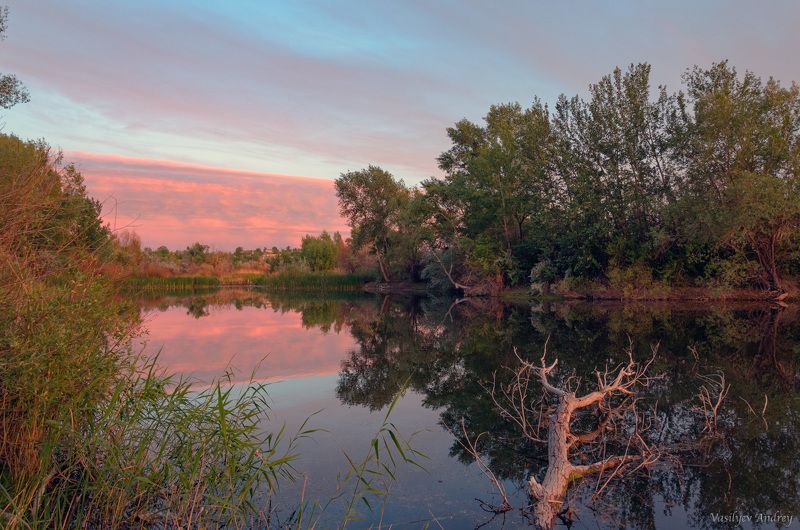 орск, природа, вечер Старое деревоphoto preview