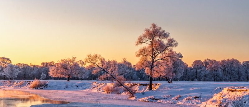 Зимний рассветphoto preview