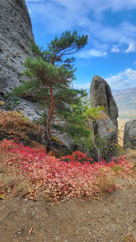 Горы, скалы, осень Краскиphoto preview