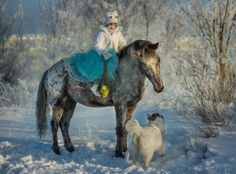 Снегурочкаphoto preview