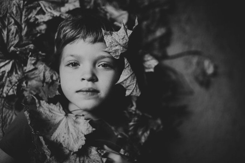 осеньphoto preview