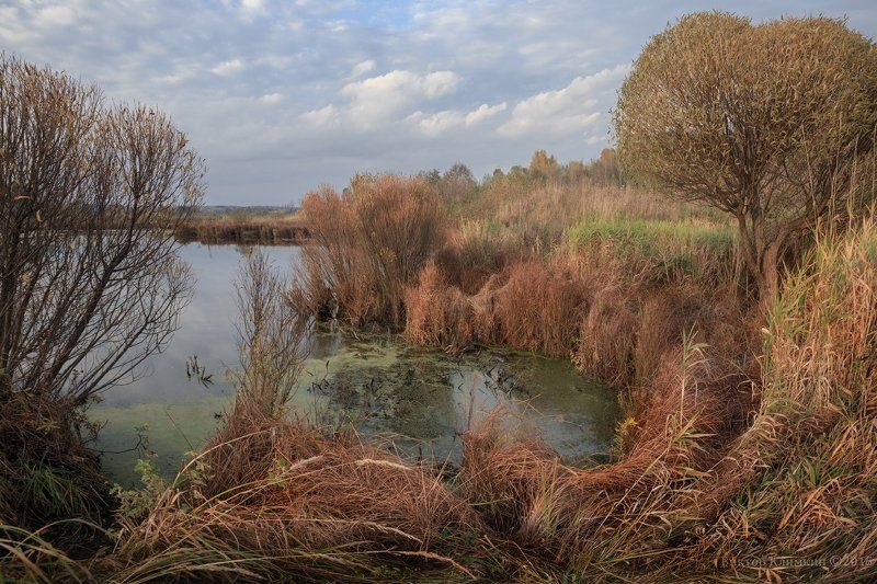 вечер, омут, осень, природа, река, скалба Тихий омутphoto preview