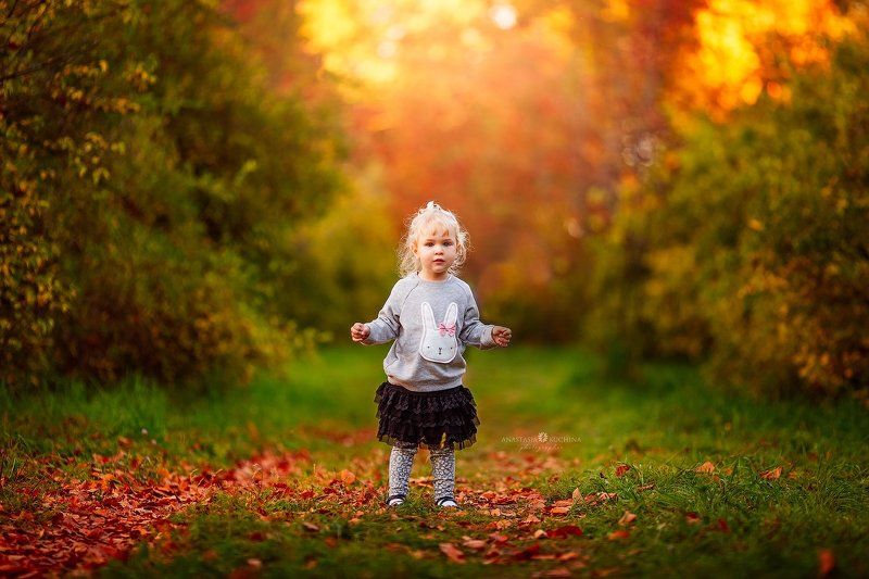 девочка, осень, закат, листопад Анечкаphoto preview