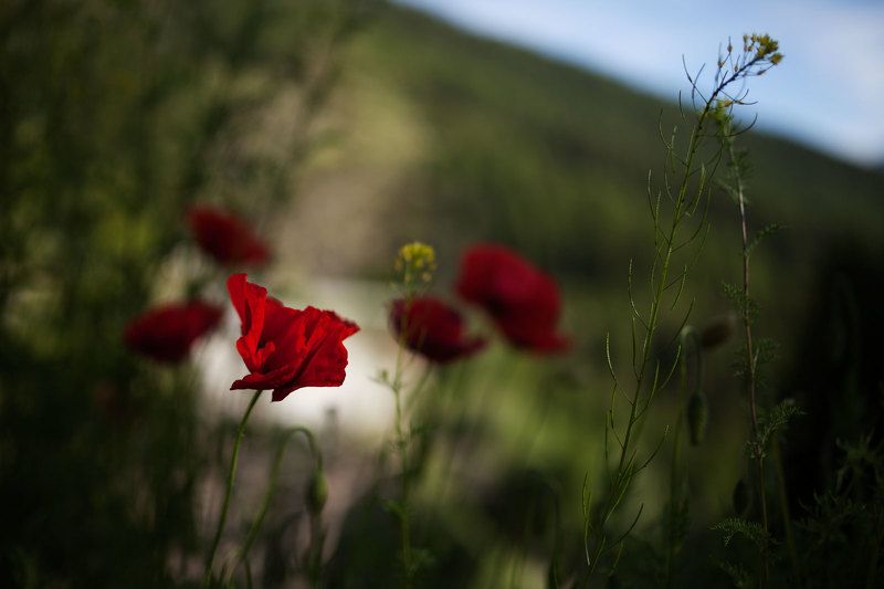 Макиphoto preview