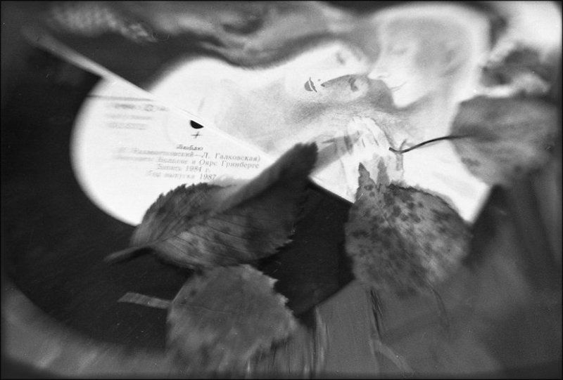 осень.. время дождя (немного лирики)photo preview