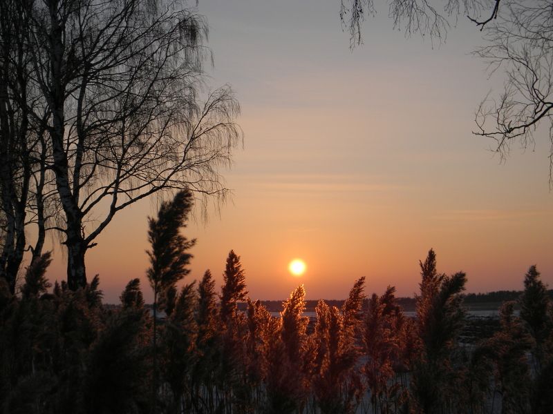 Максим, Ukraine