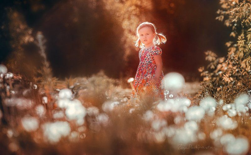 Одуванчикphoto preview