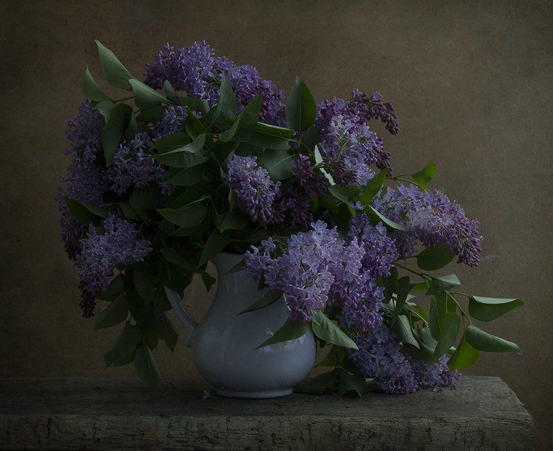 Где он, май, вечный май ..?photo preview