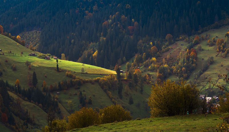 Карпатыphoto preview