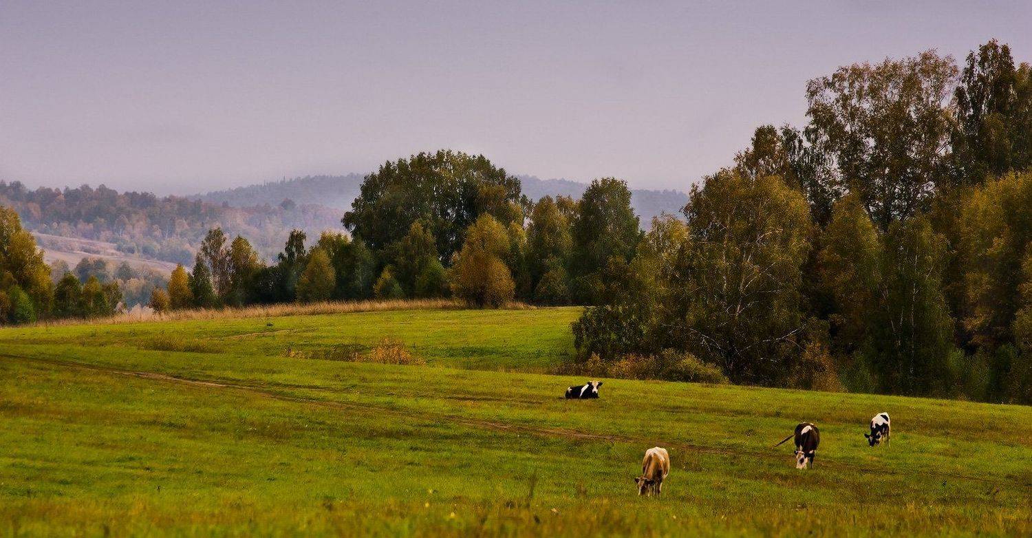 Алтай, Осень, Андрей Журавлев