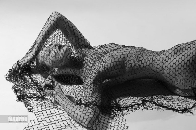 Art nu, Grid, Maxart, Maxpro, Model, Netting, Nude, Reticle, Арт-ню, Модель, Ню, Сети, Сетка, Ч/б, Чб, Черно-белое Сети...photo preview
