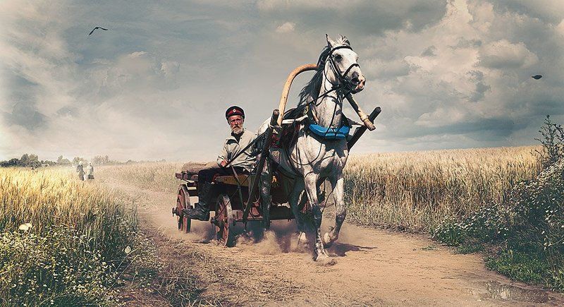 Казак, Лето, Поле, Хлеб Казакphoto preview