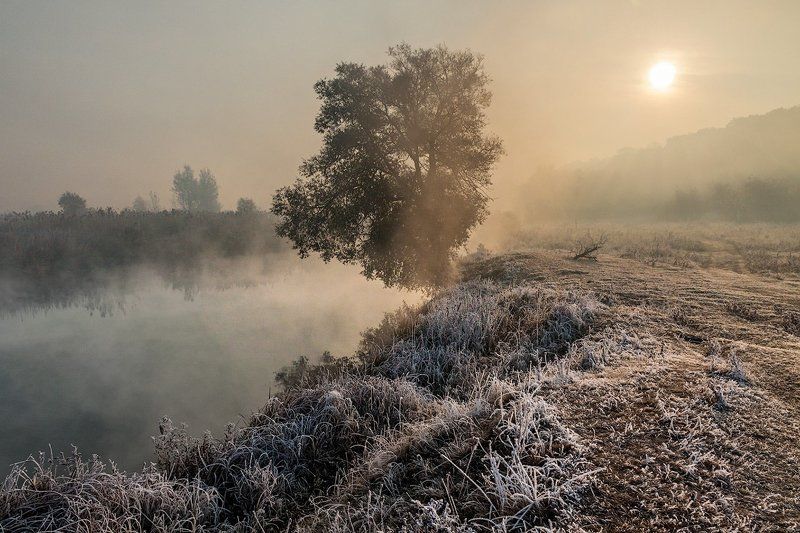 Морозное утроphoto preview