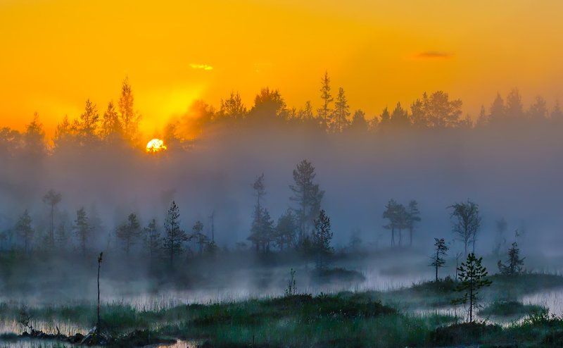 Болото, Восход, Карелия, Панорама, Пейзаж, Природа, Рассвет, Туман, Утро +++++photo preview