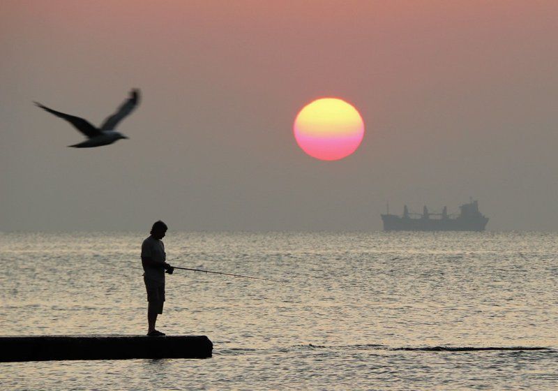 Корабль, Море, Одесса, Рассвет, Рыбак, Солнце, Чайка Всяко разноphoto preview