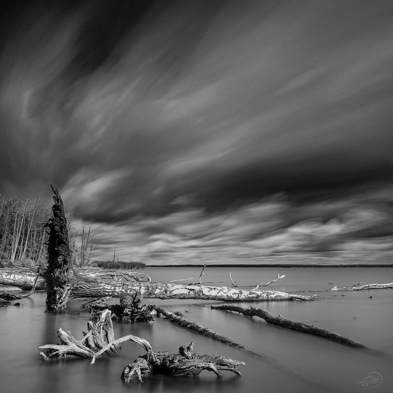 Black and white, Clouds, Landscape, Long exposure, Tree Звуки тишиныphoto preview