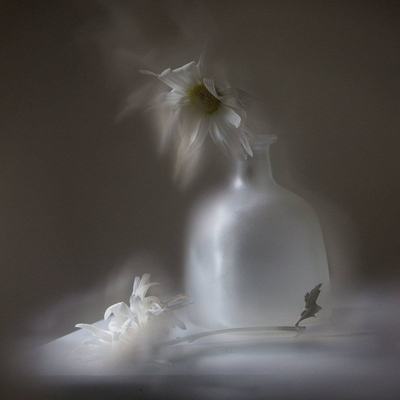 **** потеряphoto preview