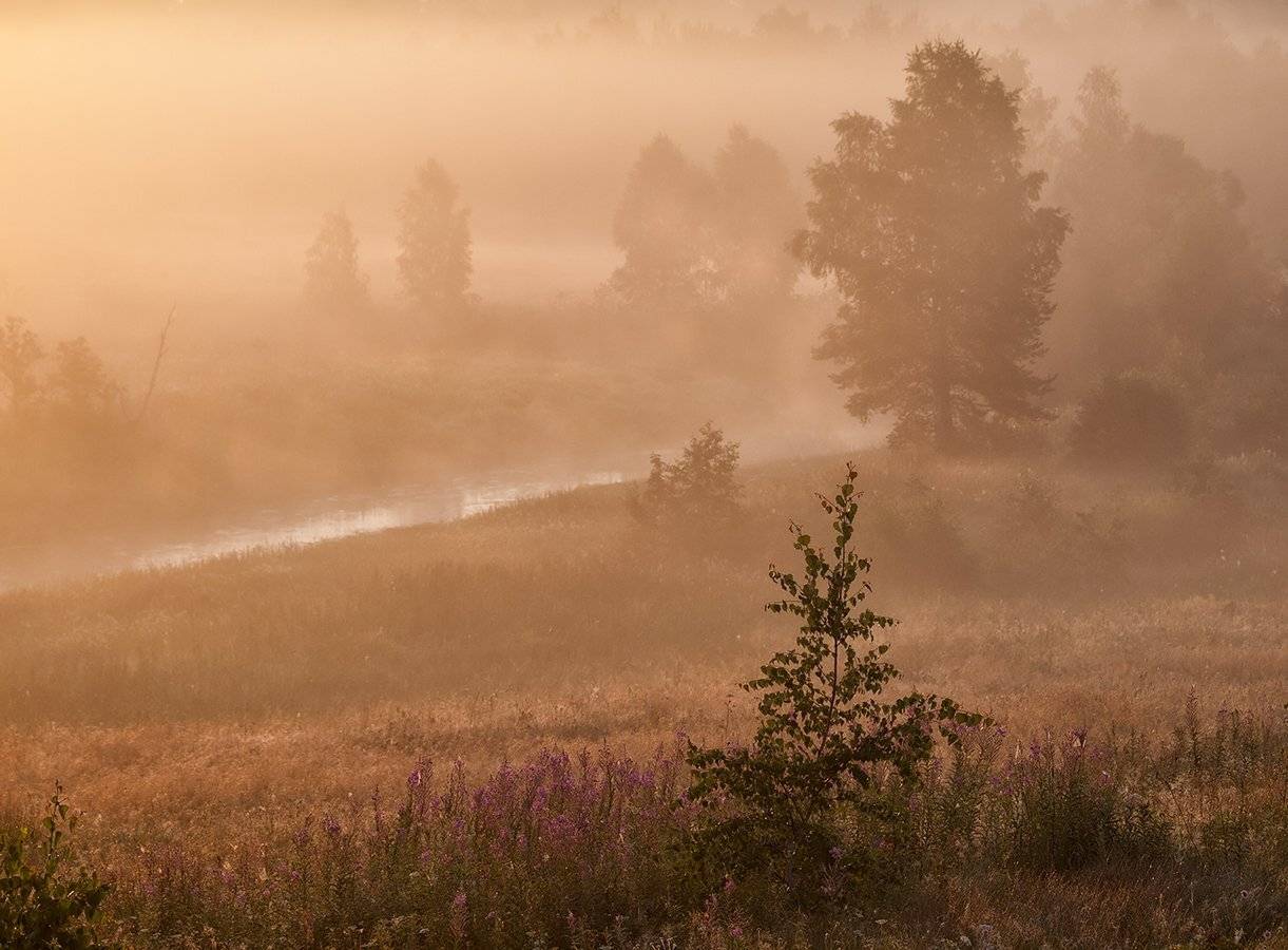 , Владимир Перепечаев