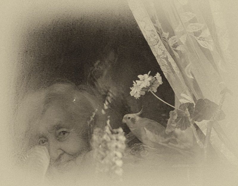 Мамаphoto preview