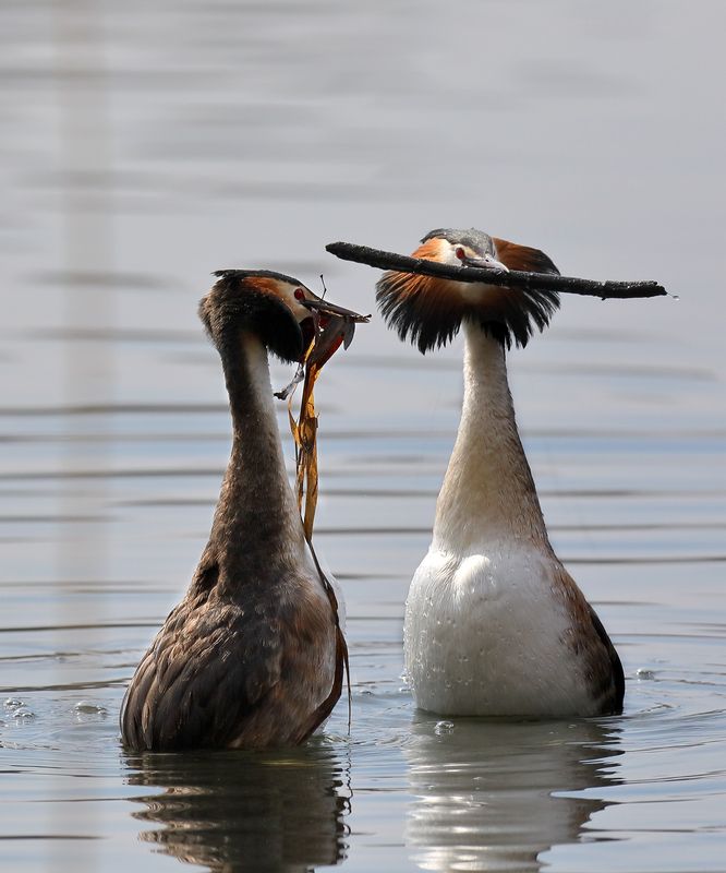 Свадебные подаркиphoto preview