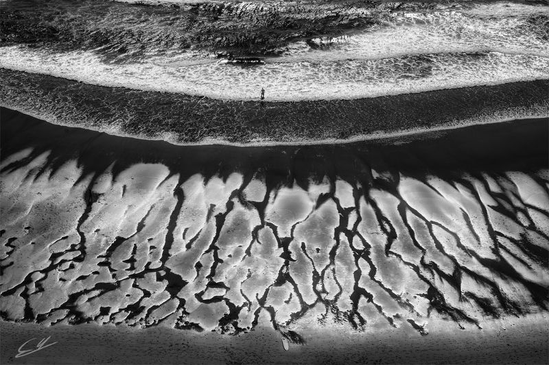 О Д И Н *photo preview