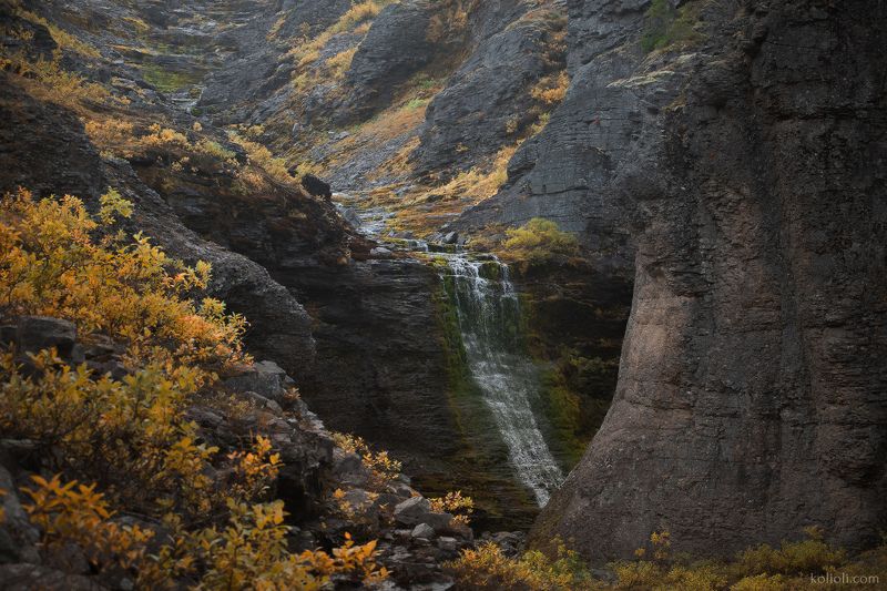 север, кольский полуостров, ловозерские тундры, осень, заполярье На склоне горы Нинчуртphoto preview
