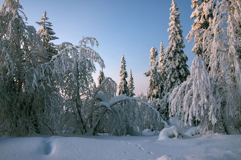 швеция Снежнаяphoto preview