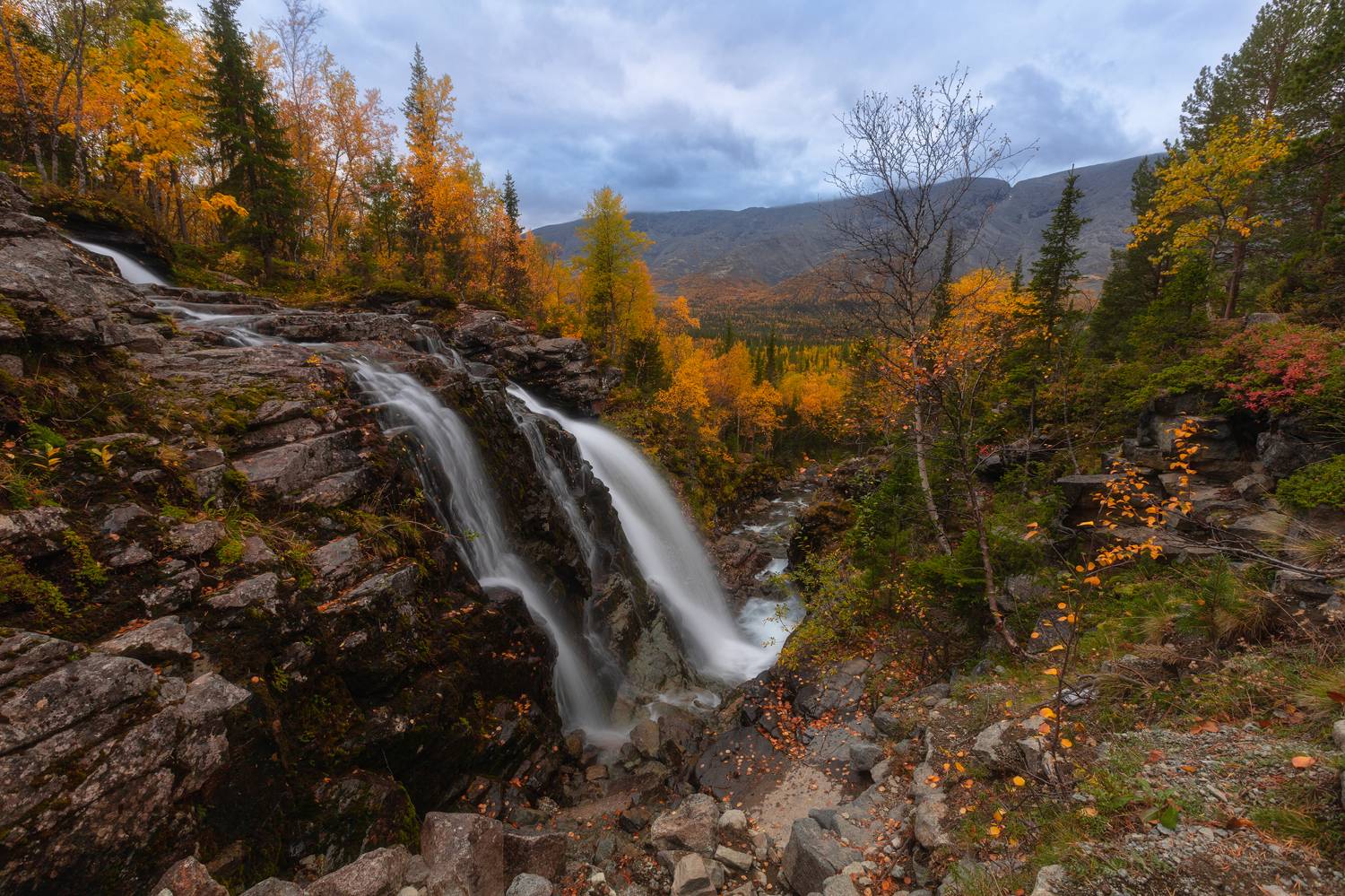Автор: Столыпин Юрий , Столыпин Юрий