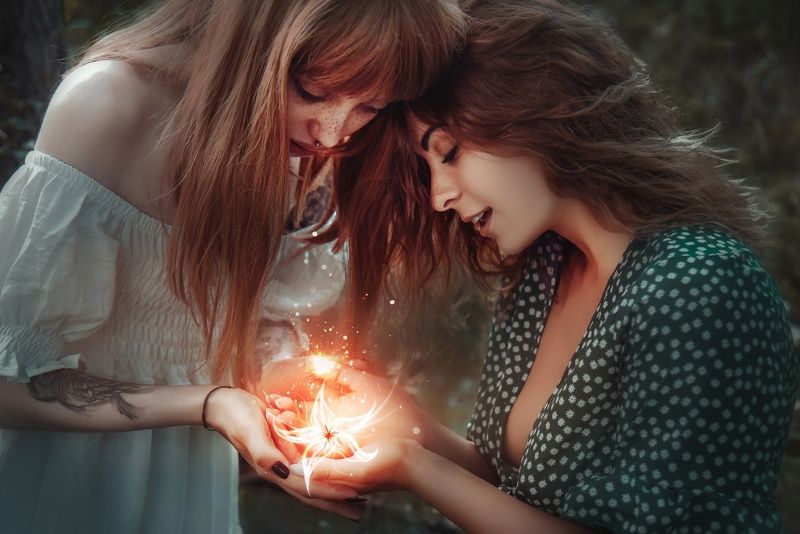 Fern Flowerphoto preview