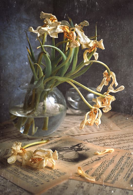 Танецphoto preview