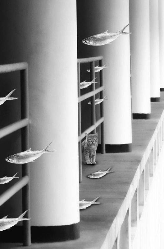 I See Youphoto preview