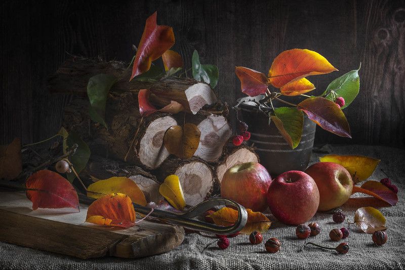 яблоки и листья Яблоки и листьяphoto preview