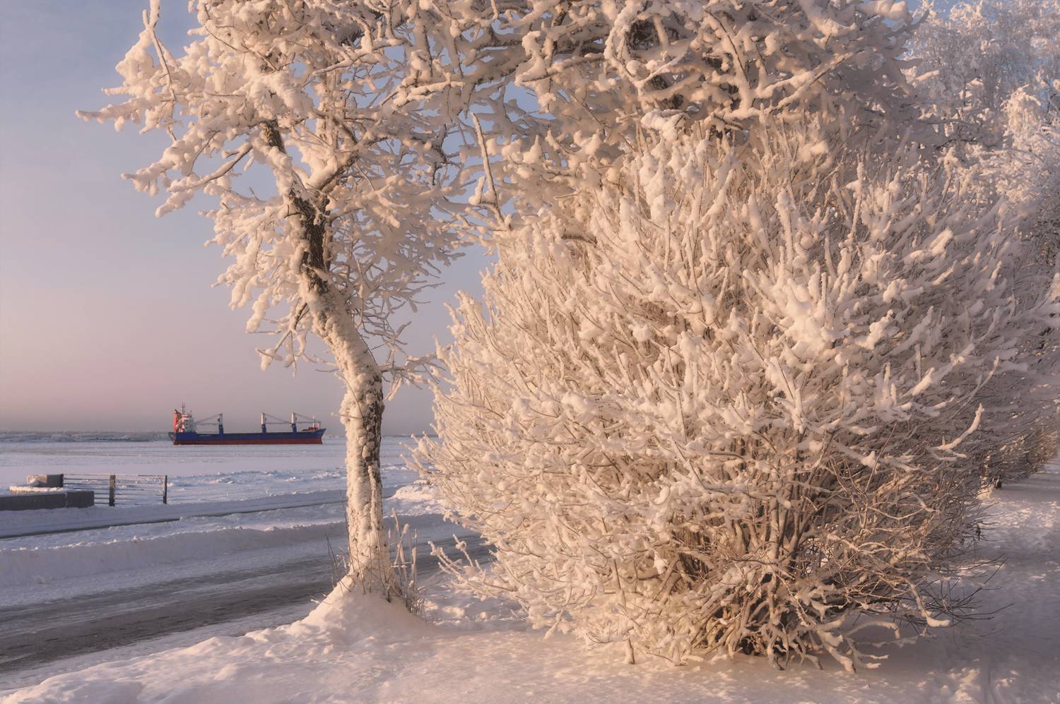 зима снег иней мороз деревья кусты архангельск набережная, Вера Ра